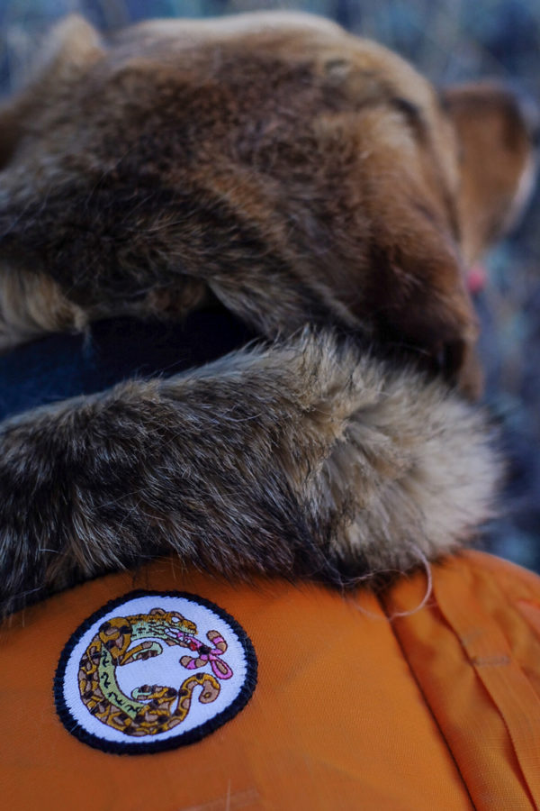 Embroidered patch