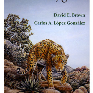 Borderland Jaguars