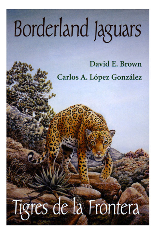 Borderland Jaguars