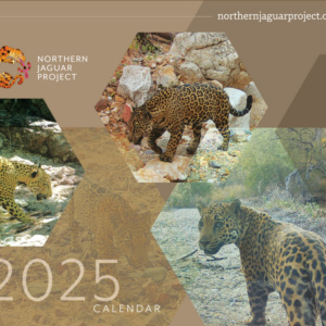 NJP 2025 Calendar