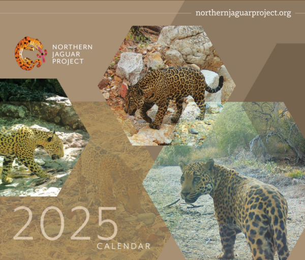 NJP 2025 Calendar