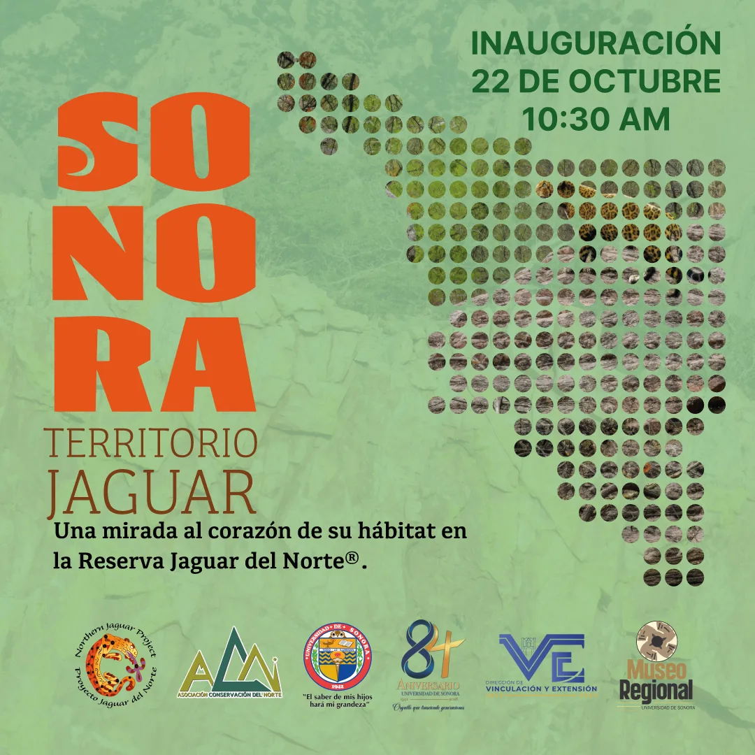 Sonora: Territorio Jaguar. Una mirada al corazón de su hábitat en la Reserva Jaguar del Norte. Inauguración: 22 de octubre, 10:30 AM.